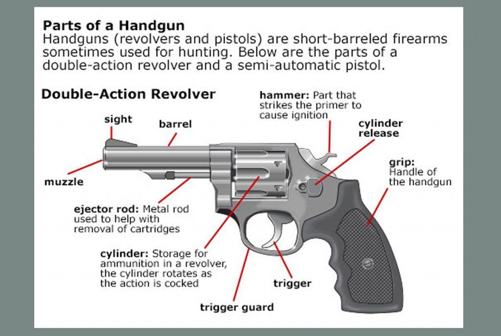 Training and Gun Safety